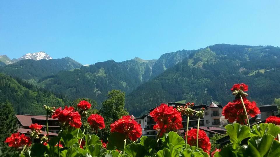 Landhaus Alpenrose Mayrhofen Exterior photo